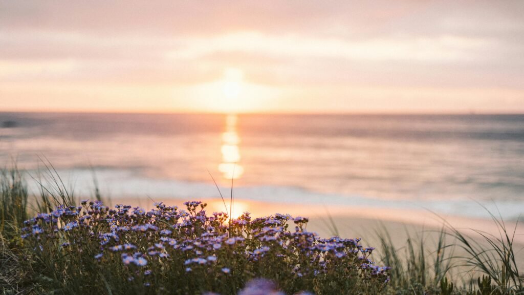 Serene beach scene with wildflowers at sunrise, creating a tranquil and golden atmosphere.