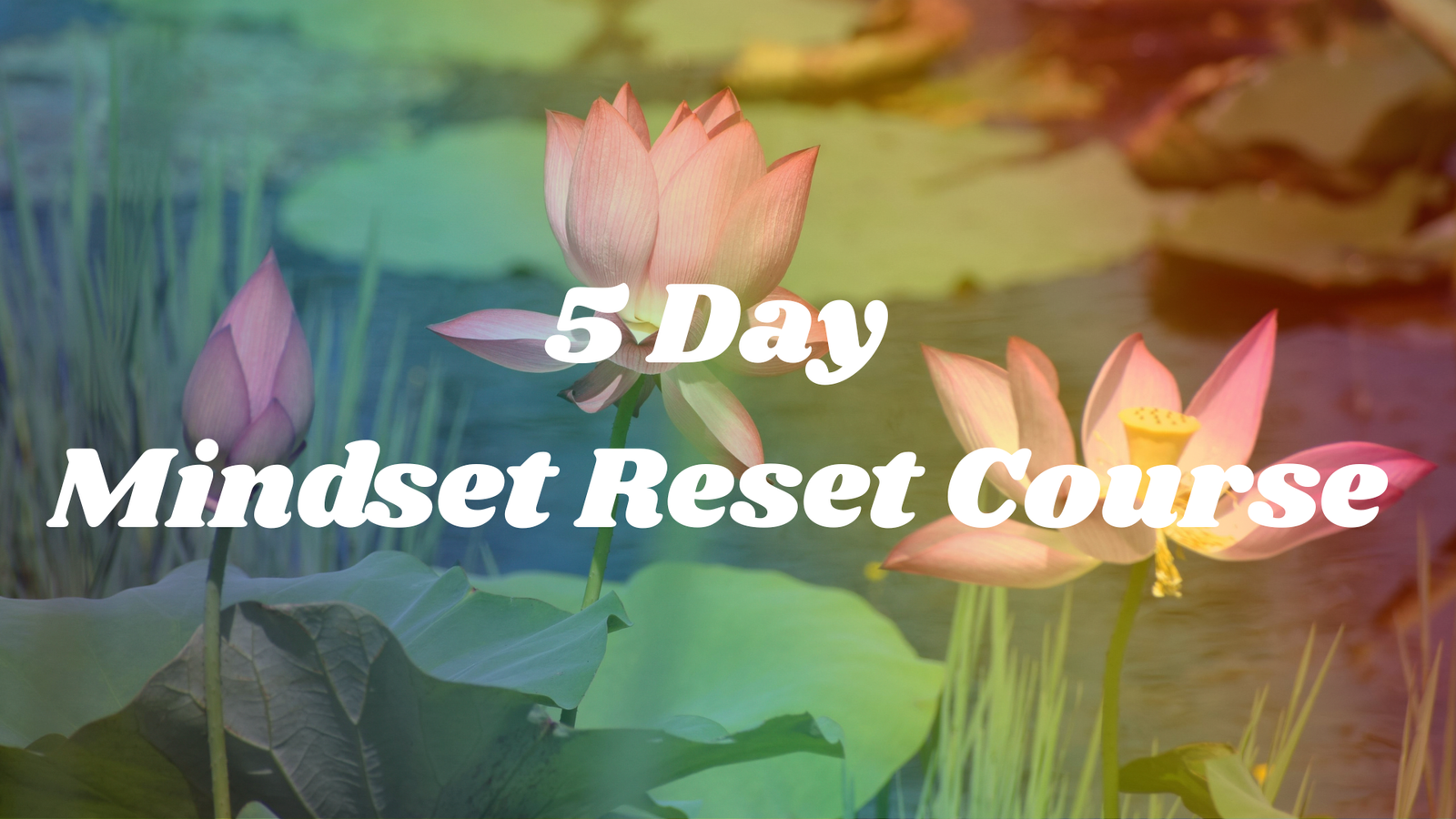 5 Day Mindset Reset Course